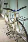 Gold/Rainbow Flake Samson NJS photo