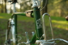 Green Ebisu All Purpose photo