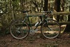 Green Ebisu All Purpose photo