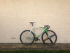 Green/White Cinelli Mash photo