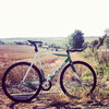 Green/White Cinelli Mash photo