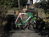 Green/White Cinelli Mash photo