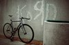 Grey VISP photo