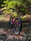 GT All Terra photo