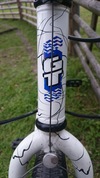 GT Avalanche 1991 Retro MTB photo