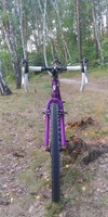 GT backwoods gravel bike photo