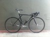 Gt gtb 52cm photo