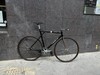GT GTB photo