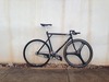 GT GTB 56cm in Honoruru photo