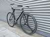 GT GTB 56cm in Honoruru photo