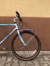 GT Tequesta photo