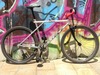 GT Tequesta All Terra fixed conversion photo