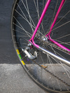 Gudereit (Reynolds 531) photo