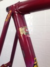 Guerciotti frameset for sale in market photo