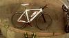 GW Avanti 48cm photo