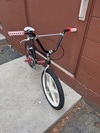 Haro Group 1 Ti photo