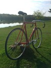 harry quinn track bike photo