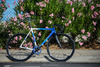 Hawaii: Orbea Lobular Track Bike photo