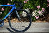 Hawaii: Orbea Lobular Track Bike photo