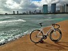 Hawaii's FIRST Aventon photo