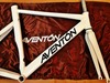 Hawaii's FIRST Aventon photo