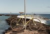Nagasawa Special 1984 photo