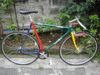 Hgcolors Custom Sprint Bike photo
