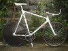 Hgcolors Custom Team Pursuit Track Bike photo