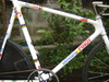 Hgcolors Custom Team Pursuit Track Bike photo