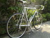 Hgcolors Gazelle Road Bike photo