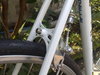 Hgcolors Gazelle Road Bike photo