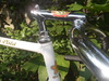 Hgcolors Olmo Pista Bike photo