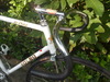 Hgcolors Olmo Pista Bike photo