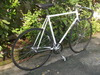 Hgcolors Olmo Pista Bike photo