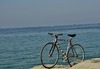 hi-tensile steel fixed gear photo