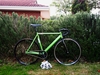 Hillbrick Pista photo