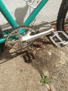 Holdsworth Mistral 1x4 photo