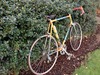 1970 Holdsworth Professional photo