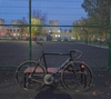 Ingria photo
