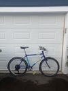 Ironhorse Rat photo