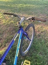Ironhorse Rat photo