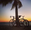 Isla Vista Cruiser photo