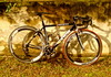 Cinelli Experience Veloce '12 photo