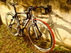 Cinelli Experience Veloce '12 photo