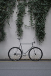 Itca Pista photo