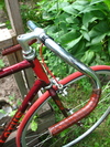 Joanna - Lotus Fixed-Gear Conversion photo