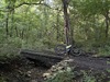 Jones SWB photo
