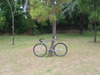 Kagero-pedalconsumption photo