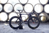 kalavinka carbon track photo