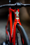 Custom Sparkle Kalavinka Carbon Track photo